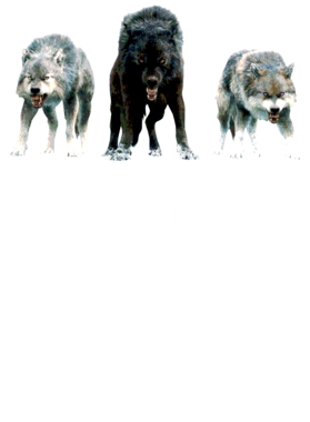 https://s3.us-west-1.wasabisys.com/ecart-content/jokershirts.com/overlays/352/891/35289179.png img