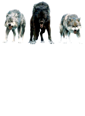https://s3.us-west-1.wasabisys.com/ecart-content/jokershirts.com/overlays/352/891/35289181.png img