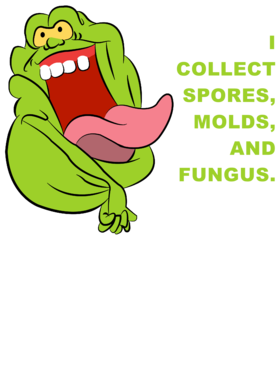 https://s3.us-west-1.wasabisys.com/ecart-content/jokershirts.com/overlays/353/069/35306920.png img