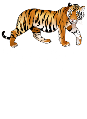 https://s3.us-west-1.wasabisys.com/ecart-content/jokershirts.com/overlays/353/087/35308756.png img