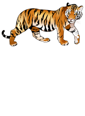 https://s3.us-west-1.wasabisys.com/ecart-content/jokershirts.com/overlays/353/087/35308760.png img