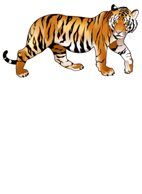 https://s3.us-west-1.wasabisys.com/ecart-content/jokershirts.com/overlays/353/087/35308772.png img