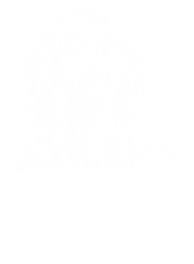 https://s3.us-west-1.wasabisys.com/ecart-content/jokershirts.com/overlays/353/109/35310943.png img