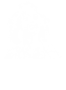 https://s3.us-west-1.wasabisys.com/ecart-content/jokershirts.com/overlays/353/109/35310944.png img