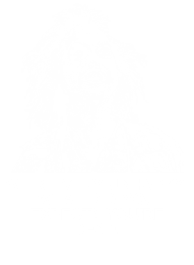 https://s3.us-west-1.wasabisys.com/ecart-content/jokershirts.com/overlays/353/109/35310945.png img