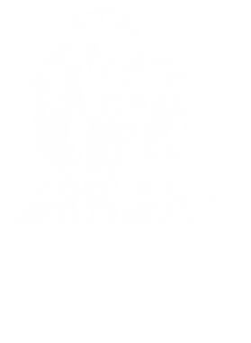 https://s3.us-west-1.wasabisys.com/ecart-content/jokershirts.com/overlays/353/109/35310955.png img