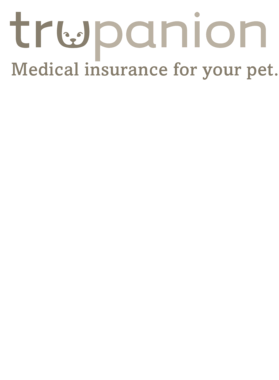 https://s3.us-west-1.wasabisys.com/ecart-content/jokershirts.com/overlays/362/822/36282269.png img
