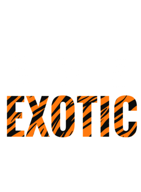 https://s3.us-west-1.wasabisys.com/ecart-content/jokershirts.com/overlays/378/052/37805233.png img