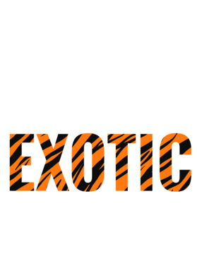 https://s3.us-west-1.wasabisys.com/ecart-content/jokershirts.com/overlays/378/052/37805235.png img
