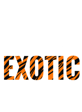https://s3.us-west-1.wasabisys.com/ecart-content/jokershirts.com/overlays/378/052/37805236.png img