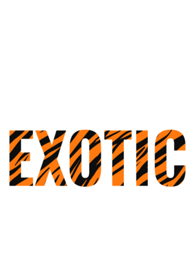 https://s3.us-west-1.wasabisys.com/ecart-content/jokershirts.com/overlays/378/052/37805238.png img