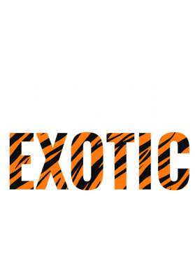 https://s3.us-west-1.wasabisys.com/ecart-content/jokershirts.com/overlays/378/052/37805239.png img
