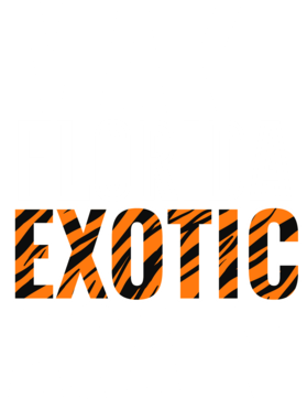 https://s3.us-west-1.wasabisys.com/ecart-content/jokershirts.com/overlays/378/052/37805240.png img