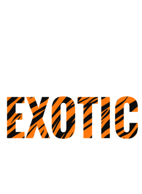 https://s3.us-west-1.wasabisys.com/ecart-content/jokershirts.com/overlays/378/052/37805243.png img