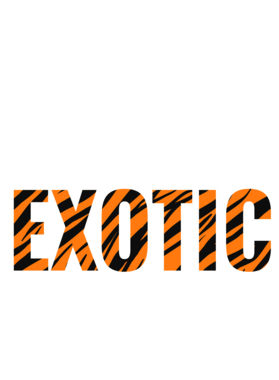 https://s3.us-west-1.wasabisys.com/ecart-content/jokershirts.com/overlays/378/052/37805245.png img