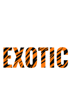 https://s3.us-west-1.wasabisys.com/ecart-content/jokershirts.com/overlays/378/052/37805247.png img
