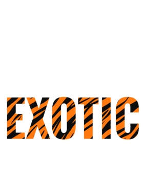 https://s3.us-west-1.wasabisys.com/ecart-content/jokershirts.com/overlays/378/052/37805254.png img