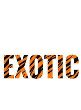 https://s3.us-west-1.wasabisys.com/ecart-content/jokershirts.com/overlays/378/052/37805255.png img