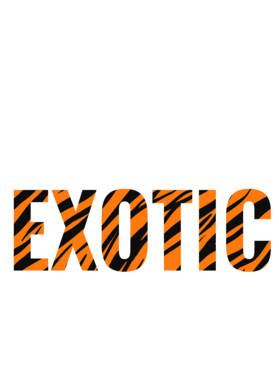 https://s3.us-west-1.wasabisys.com/ecart-content/jokershirts.com/overlays/378/052/37805261.png img