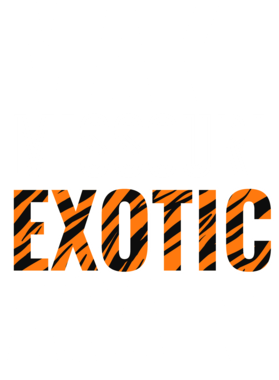 https://s3.us-west-1.wasabisys.com/ecart-content/jokershirts.com/overlays/378/052/37805264.png img