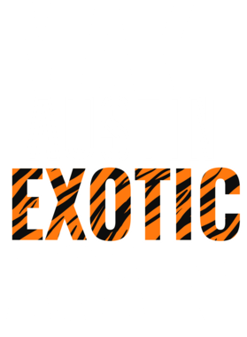 https://s3.us-west-1.wasabisys.com/ecart-content/jokershirts.com/overlays/378/052/37805265.png img