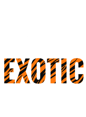 https://s3.us-west-1.wasabisys.com/ecart-content/jokershirts.com/overlays/378/052/37805271.png img