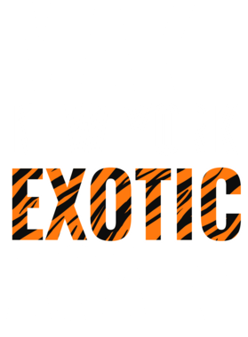 https://s3.us-west-1.wasabisys.com/ecart-content/jokershirts.com/overlays/378/052/37805279.png img