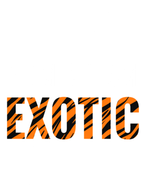 https://s3.us-west-1.wasabisys.com/ecart-content/jokershirts.com/overlays/378/052/37805280.png img
