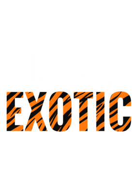 https://s3.us-west-1.wasabisys.com/ecart-content/jokershirts.com/overlays/378/052/37805290.png img