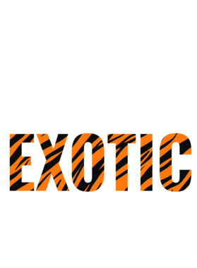 https://s3.us-west-1.wasabisys.com/ecart-content/jokershirts.com/overlays/378/052/37805294.png img