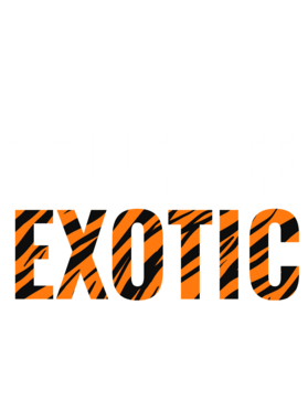 https://s3.us-west-1.wasabisys.com/ecart-content/jokershirts.com/overlays/378/052/37805299.png img