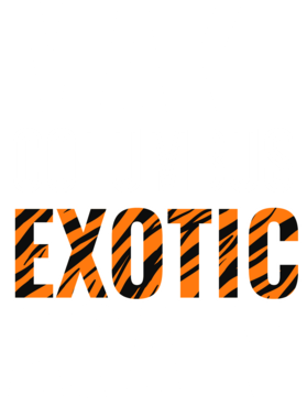 https://s3.us-west-1.wasabisys.com/ecart-content/jokershirts.com/overlays/378/053/37805306.png img