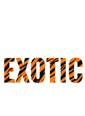 https://s3.us-west-1.wasabisys.com/ecart-content/jokershirts.com/overlays/378/053/37805321.png img