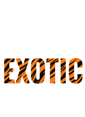 https://s3.us-west-1.wasabisys.com/ecart-content/jokershirts.com/overlays/378/053/37805324.png img