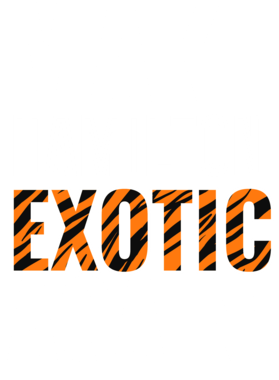https://s3.us-west-1.wasabisys.com/ecart-content/jokershirts.com/overlays/378/053/37805325.png img