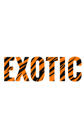https://s3.us-west-1.wasabisys.com/ecart-content/jokershirts.com/overlays/378/053/37805329.png img
