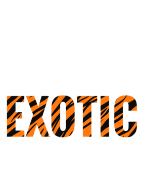 https://s3.us-west-1.wasabisys.com/ecart-content/jokershirts.com/overlays/378/053/37805331.png img