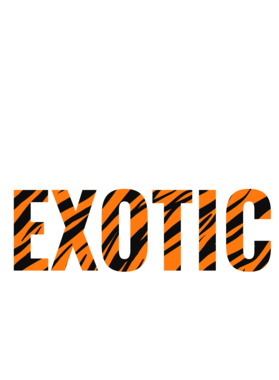 https://s3.us-west-1.wasabisys.com/ecart-content/jokershirts.com/overlays/378/053/37805391.png img
