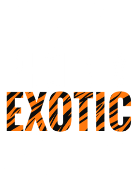 https://s3.us-west-1.wasabisys.com/ecart-content/jokershirts.com/overlays/378/054/37805410.png img