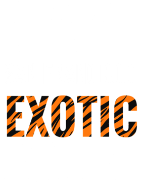 https://s3.us-west-1.wasabisys.com/ecart-content/jokershirts.com/overlays/378/054/37805419.png img