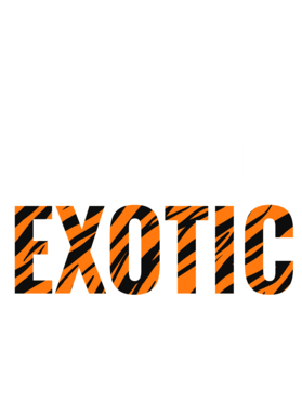 https://s3.us-west-1.wasabisys.com/ecart-content/jokershirts.com/overlays/378/054/37805437.png img