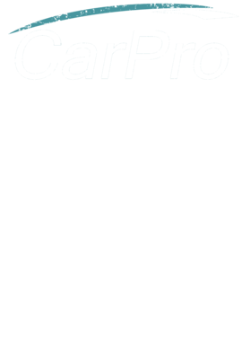 https://s3.us-west-1.wasabisys.com/ecart-content/jokershirts.com/overlays/383/369/38336948.png img