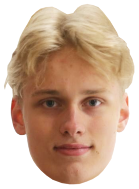 https://s3.us-west-1.wasabisys.com/ecart-content/jokershirts.com/overlays/394/654/39465400.png img