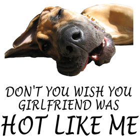 https://s3.us-west-1.wasabisys.com/ecart-content/jokershirts.com/overlays/398/128/39812800.png img