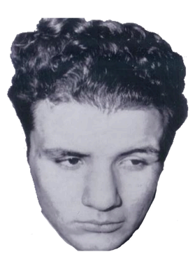 https://s3.us-west-1.wasabisys.com/ecart-content/jokershirts.com/overlays/398/200/39820085.png img