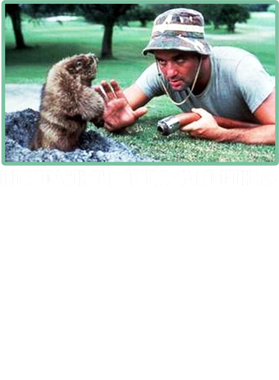 https://s3.us-west-1.wasabisys.com/ecart-content/jokershirts.com/overlays/398/245/39824500.png img