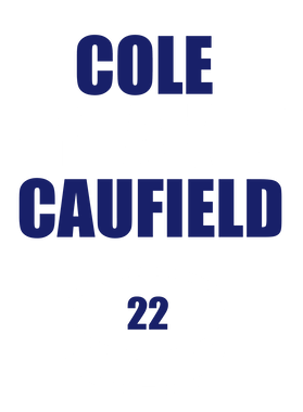 https://s3.us-west-1.wasabisys.com/ecart-content/jokershirts.com/overlays/398/245/39824514.png img