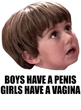 https://s3.us-west-1.wasabisys.com/ecart-content/jokershirts.com/overlays/398/273/39827329.png img