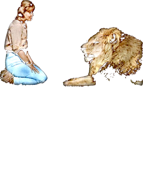 https://s3.us-west-1.wasabisys.com/ecart-content/jokershirts.com/overlays/398/280/39828083.png img
