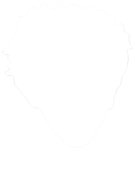 https://s3.us-west-1.wasabisys.com/ecart-content/jokershirts.com/overlays/398/285/39828594.png img